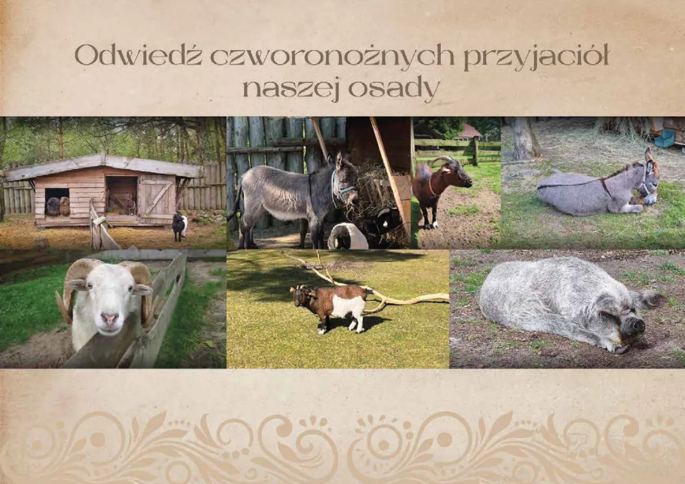 Oferta Osady Sławutowo dla grup, strona 15